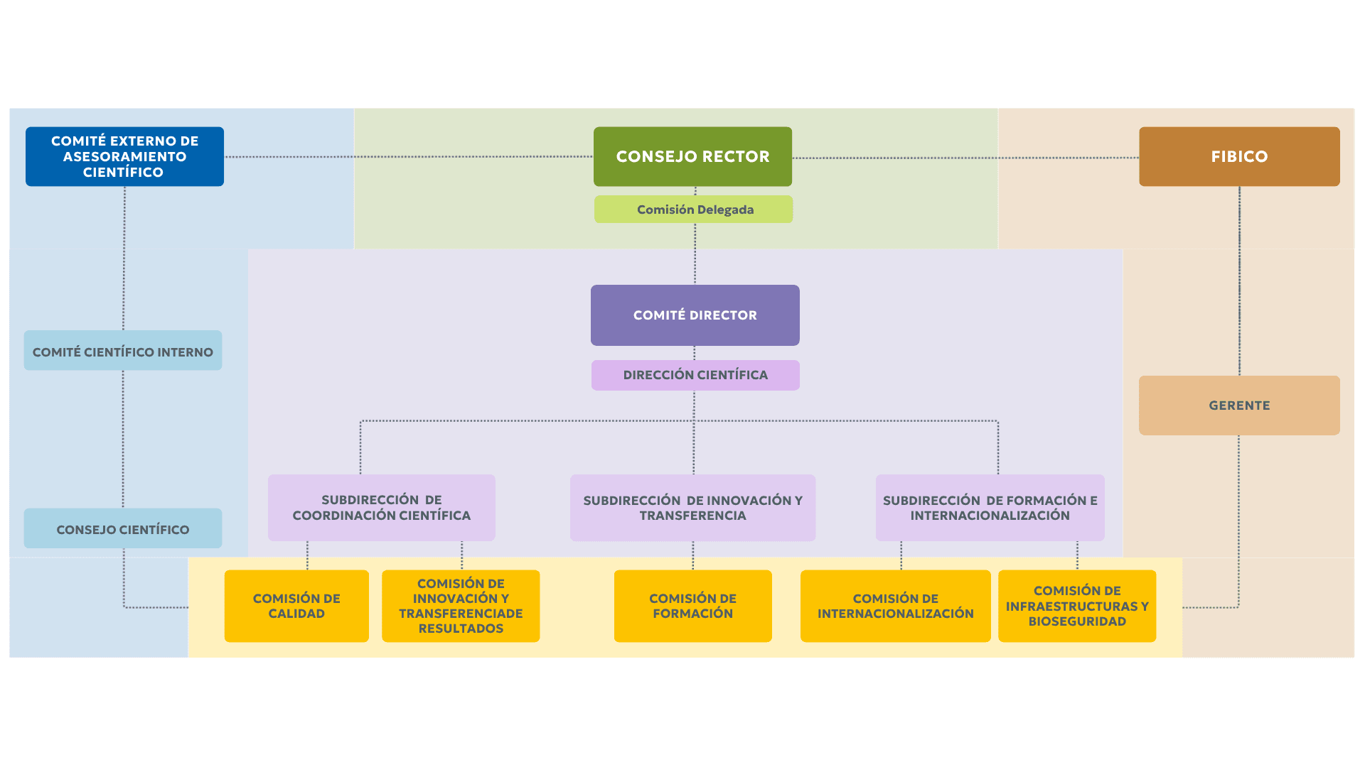 CAIZEM organisation chart