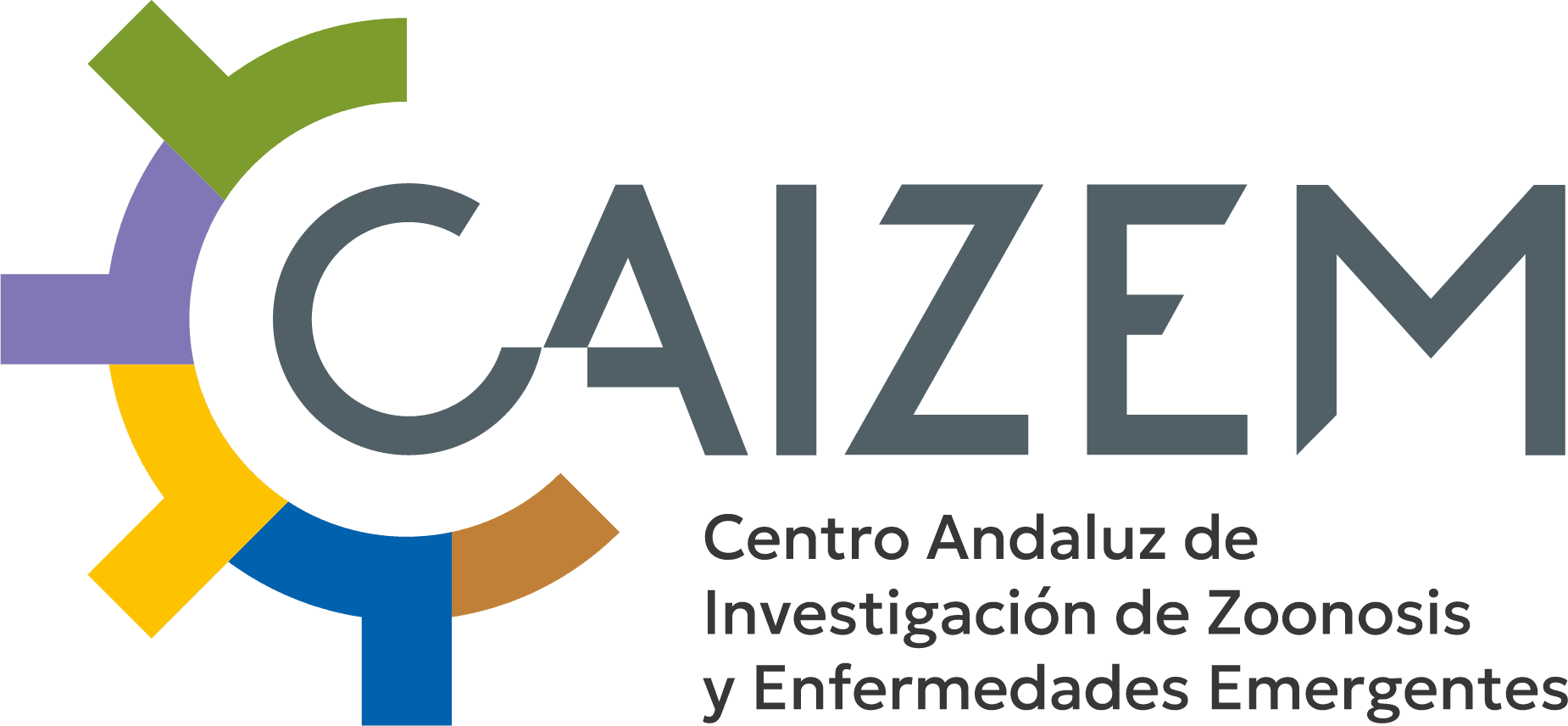 CAIZEM